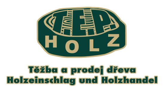 Logo T.E.P. HOLZ