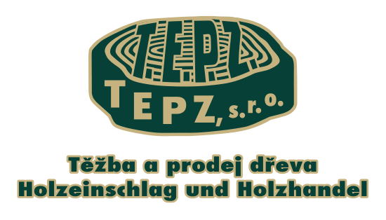 Logo T.E.P.Z.